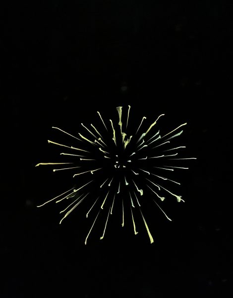 IMG_4125 2